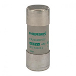 Mersen 32A Slow-Blow Ceramic Cartridge Fuse, 22.2 x 58mm