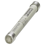 Phoenix Contact 2A Ceramic Cartridge Fuse, 10 x 85mm