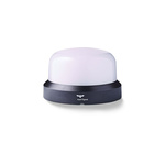 AUER Signal RCDM Series Blue Flashing, Steady, Strobe Beacon, 24-48 C ac/dc, Horizontal, Tube Mounting, Vertical, Wall
