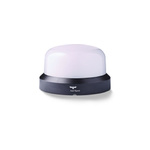 AUER Signal RCMM Series Blue, Clear, Green, Magenta, Red, Turquoise., Yellow Steady Beacon, 24-48 V ac/dc, Base Mount,