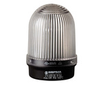Werma 210 Series Clear Continuous lighting Beacon, 12 → 230 V, Base Mount, Filament Bulb