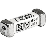 Schurter Surface Mount Fuse 3.15A, 250V ac