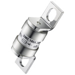 RS PRO 180A Slotted Tag Fuse, 17.4 x 42mm, 240V, 42mm