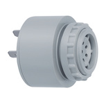 Werma 119 Series Buzzer, 24 V, 80dB at 1 m, IP65, DC, 3-Tone