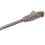 Molex Premise Networks Grey Cat6 Cable U/UTP PVC Male RJ45/Male RJ45, Terminated, 5m