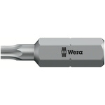 Wera Tamperproof Torx Screwdriver Bit, T10 Tip