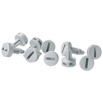 Siemens Silver Lock Screws for use with RAL7035