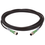 Werma Black Cable Assembly 32 V