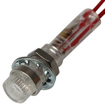 CAMDENBOSS 515 Series Clear Neon Panel Mount Indicator, 240V, 6.4mm Mounting Hole Size, Stripped Wire Termination
