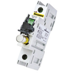 Eaton Bussmann Series 30A Rail Mount Fuse Holder With Indicator for 10 x 38mm Fuse, 2P, 600V ac