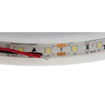 PowerLED 12V dc White LED Strip Light, 6000K Colour Temp, 5m Length