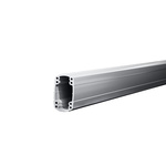 Rittal CP Series Aluminium Support Section, 90mm W, 160mm H, 1m L For Use With CP 180