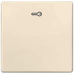 Siemens White Thermoplastic Faceplate & Mounting Plate