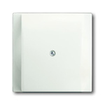 ABB White 1 Gang Plastic Kabel Outlet Plate