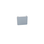 RS PRO White PVC End Cap, Fits Channel Size 41 x 21mm