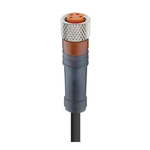 Lumberg Automation, RKMV Series, Straight Female M8 to Open Lead Cordset, 4 Core 5m Cable