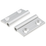 RS PRO 5mm Slot, 20 mm Strut Profile