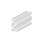 RS PRO Silver Aluminium, Anodized Profile Strut, 20 x 40 mm, 6mm Groove, 3m Length