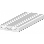 RS PRO Silver Aluminium, Anodized Profile Strut, 40 x 10 mm, 5mm Groove, 1m Length