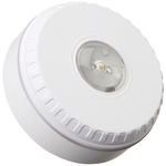 Fulleon Solista LX Red LED Beacon, 9 → 60 V dc, Flashing, Wall Mount