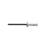 Rapid Agrafage Aluminium Rivet Set Rivet, 4.8mm