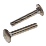 Plain Stainless Steel Coach Bolt, M6 x 40mm