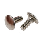 Plain Stainless Steel Coach Bolt, M8 x 20mm