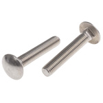 Plain Stainless Steel Coach Bolt, M10 x 60mm