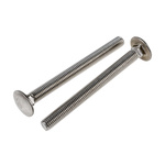 Plain Stainless Steel Coach Bolt, M10 x 110mm