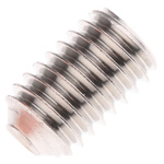 Plain Stainless Steel Hex Socket Set M5 x 8mm Grub Screw