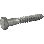 Steel Coach Bolt, 1/4in x 3in
