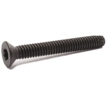 RS PRO Torx Flooring Screwx2 1/4in