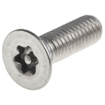 Plain Flat Stainless Steel Tamper Proof Security Screw, M6 x 20mm