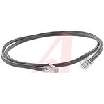 Cinch Connectors Black Cat5e Cable UTP, 15.24m Male RJ45/Male RJ45