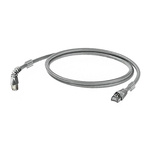 Weidmuller Grey Cat6 Cable S/FTP LSZH Male RJ45/Male RJ45, Terminated, 500mm