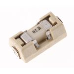 Littelfuse 2A FF Surface Mount Fuse, 125V ac/dc