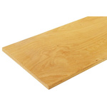 Bott 600mm x 1500mm x 30mm Worktop