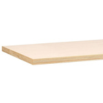 Treston 750mm x 1500mm x 40mm Worktop