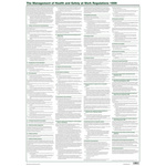 RS PRO Safety Poster, English, 840 mm, 595mm
