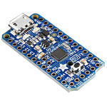 ADAFRUIT PRO TRINKET 5V MCU Development Board 2000
