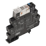 Weidmuller TRS Series Interface Relay, DIN Rail Mount, 230V ac/dc Coil, DPDT, 2-Pole