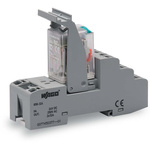 Wago 858 Series Relay Module, DIN Rail Mount, 24V dc Coil, DPDT, 2-Pole, 12A Load