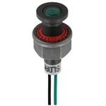 Sloan Green Indicator, Lead Wires Termination, 24 V dc, 6.2mm Mounting Hole Size, IP68