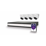 ABUS Security-Center Indoor, Outdoor IR CCTV Camera, 4 Camera Connections, IP