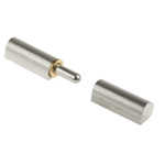 Pinet Stainless Steel Bullet Hinge, Weld-on Fixing, 100mm x 20mm
