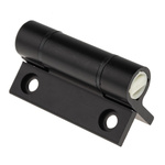 Pinet Aluminium Spring Hinge, Screw Fixing, 67mm x 55mm x 4.5mm