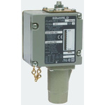 Telemecanique Sensors Pressure Sensor for Diesel Oil, Hydraulic Fluid, Oil , 206.7bar Max Pressure Reading Relay