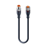 Lumberg Automation, RST Series, Straight Male to Straight Female Cordset, 5 Core 600mm Cable