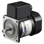 DKM Reversible Induction AC Motor, 60 W, 1 Phase, 4 Pole, 220 V, 240 V