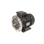 TEC Motors T2A Clockwise AC Motor, 180 W, IE2, 3 Phase, 2 Pole, Foot Mount Mounting